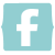 Face Book Logo